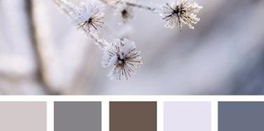 文率科技為您分享色彩搭配定律