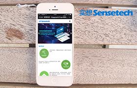 天津市實(shí)想科技有限公司